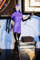 Catwoman Statue.